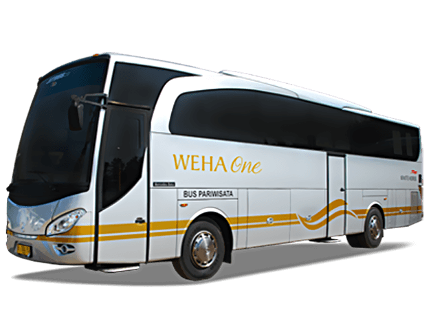 Weha One-image